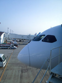 s787_0